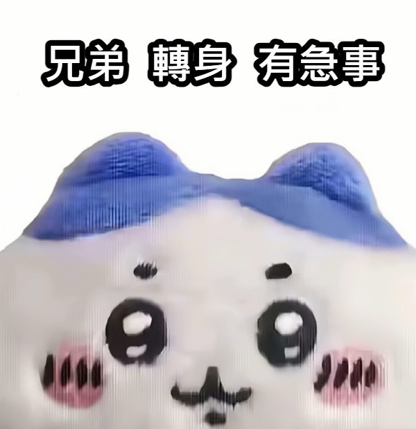 [圖]