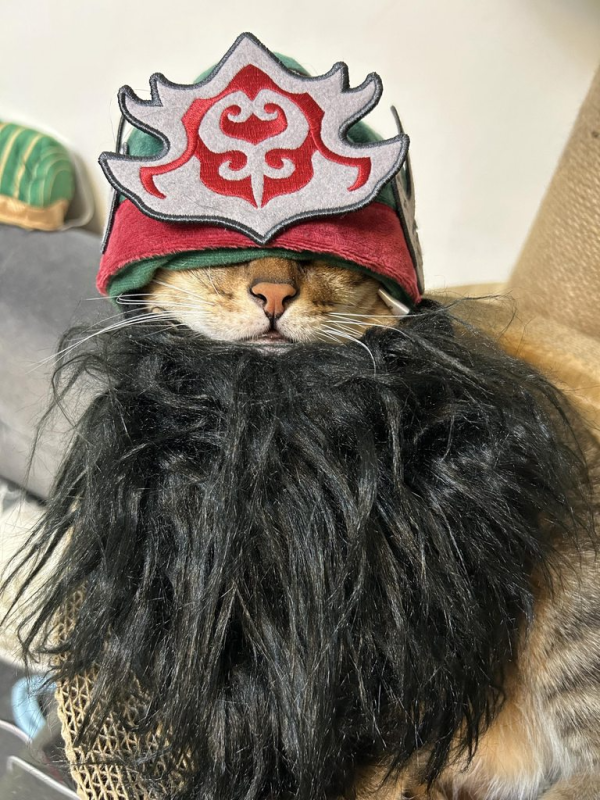 [圖]