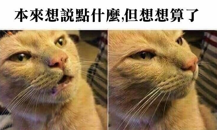 [圖]