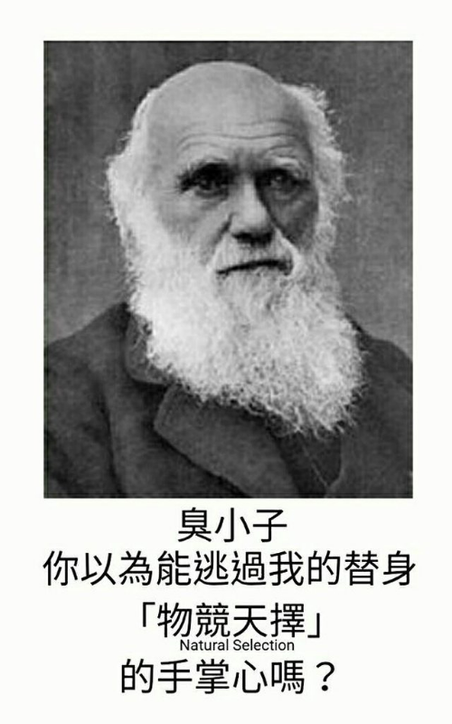 [圖]