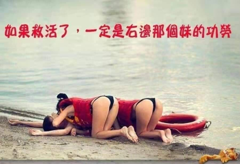 [圖]