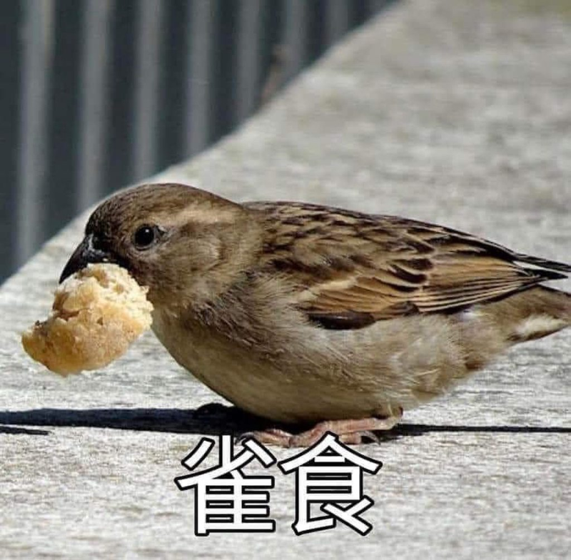 [圖]