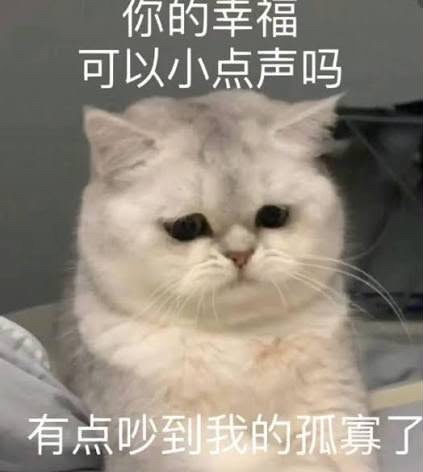 [圖]